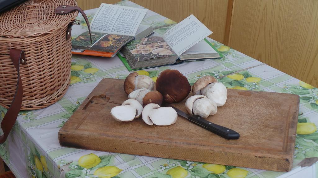 Albergo Antico Predazzo Zewnętrze zdjęcie